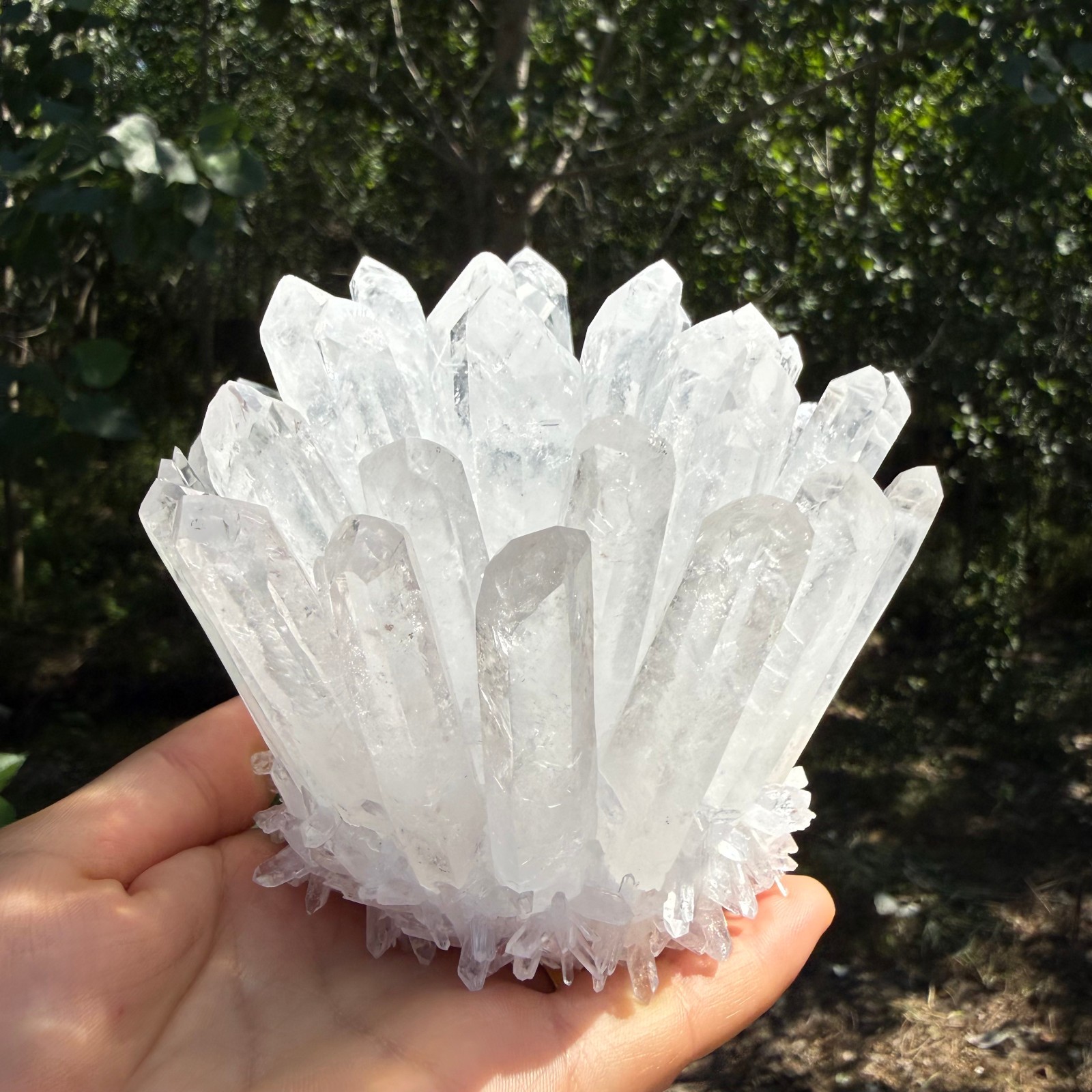 2.2LB Large Natural White Clear Quartz Cluster Crystal Mineral Healing 1pc
