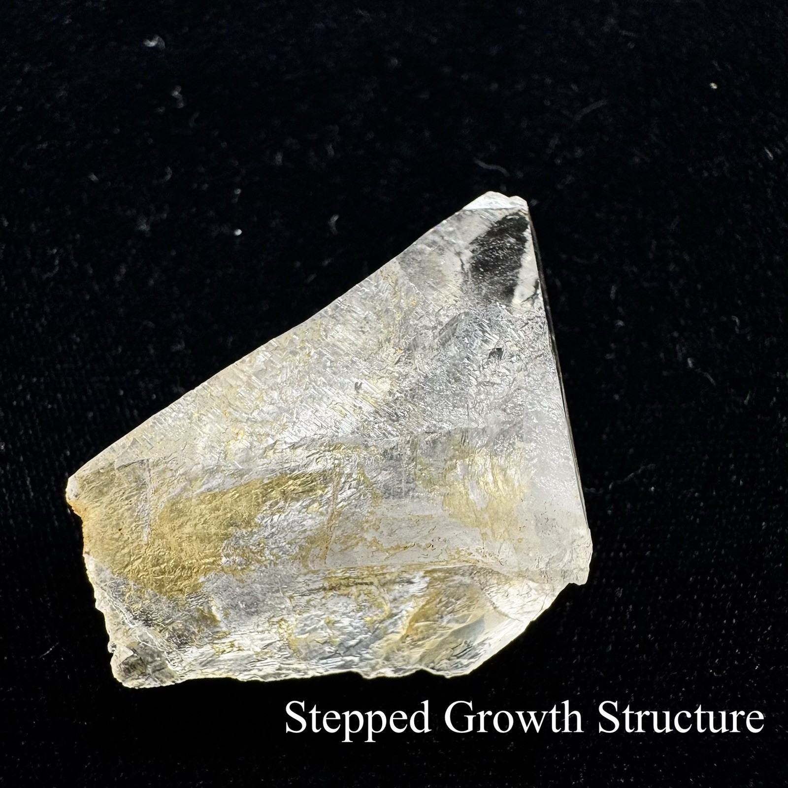 “Golden Triangle”Ganesh Himalayan Nepal Quartz Nirvana Record Keeper Crystal