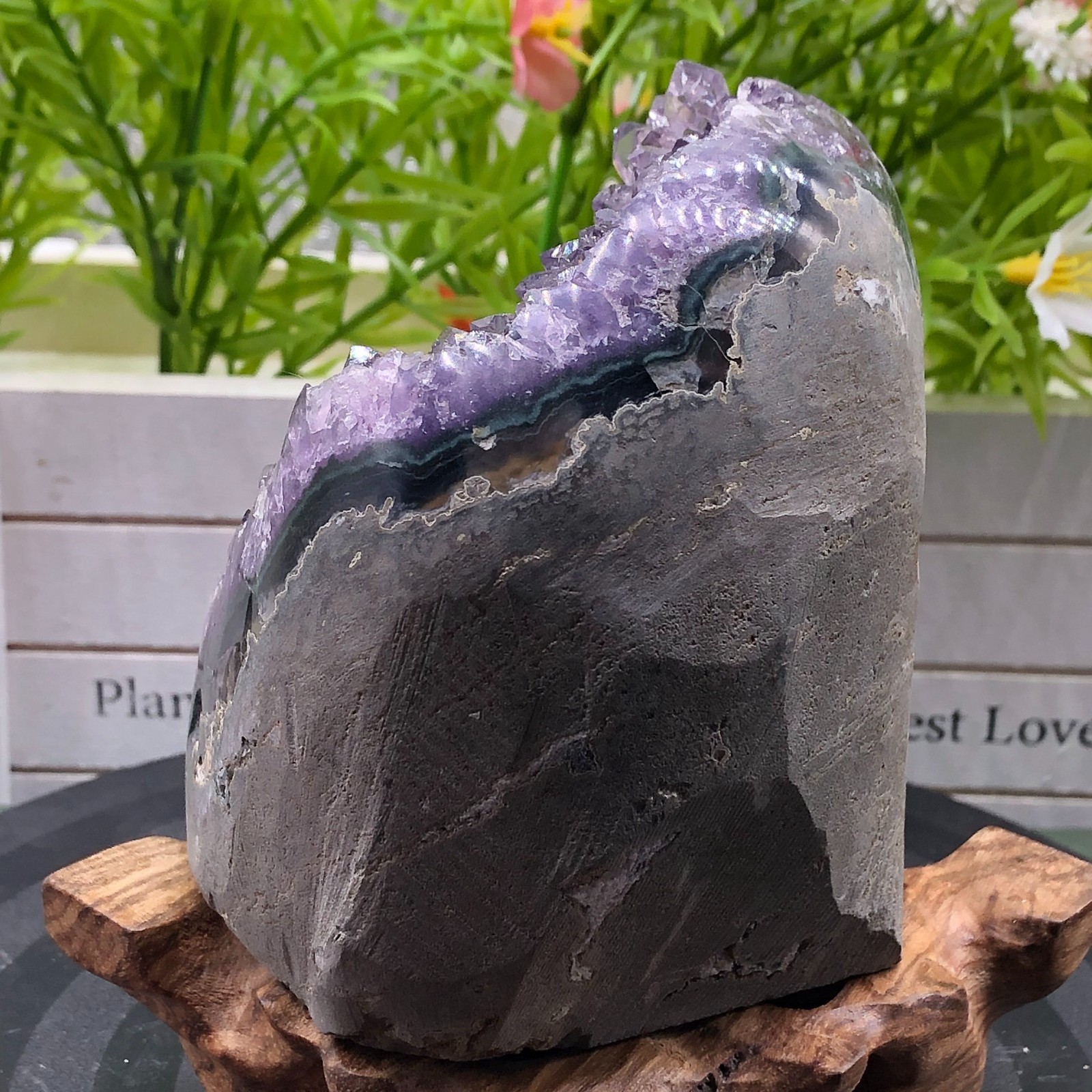 727g Natural Light Purple Amethyst Quartz Crystal Cluster Specimen Healing