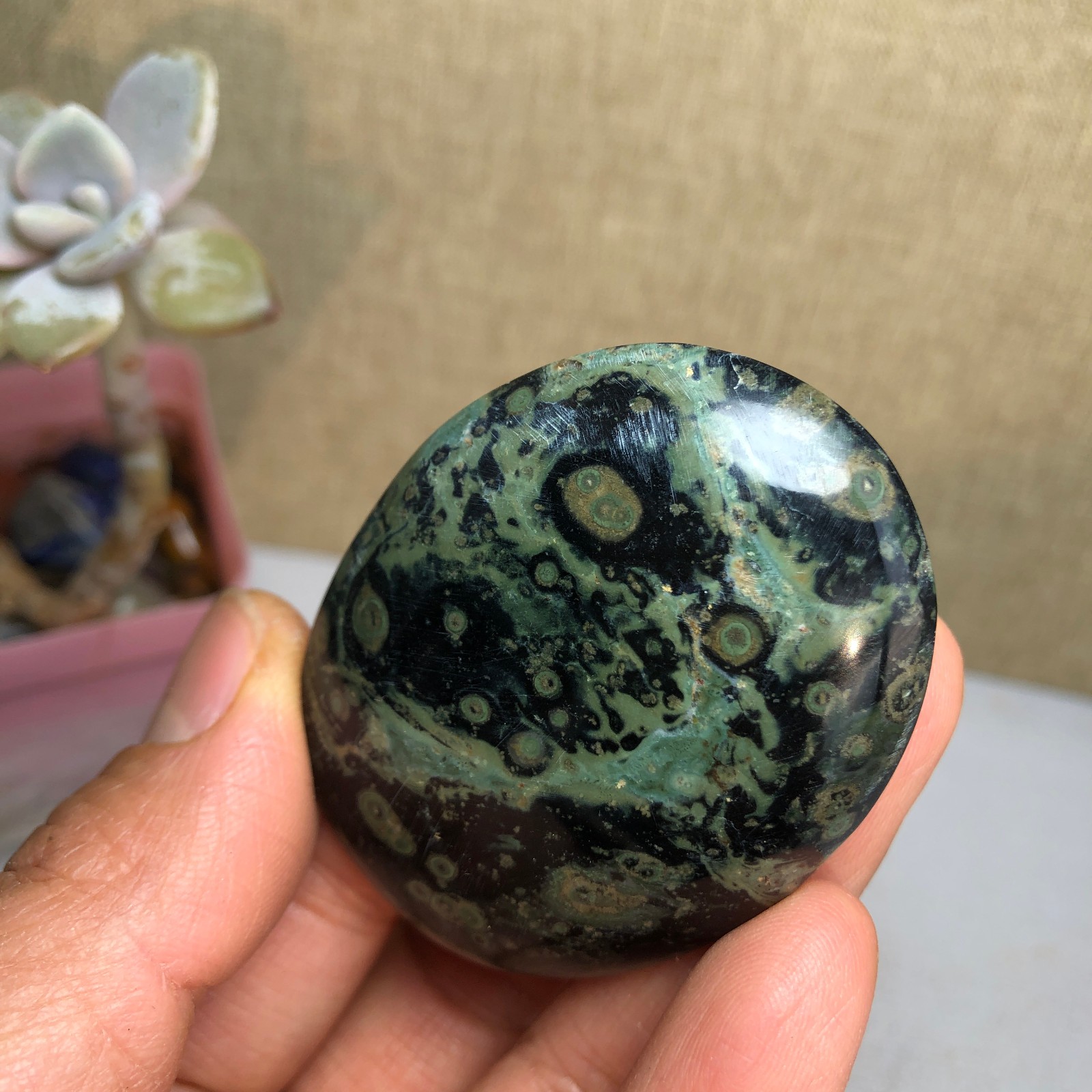 Top Natural Green Kambaba jasper quartz crystal Specimen healing 50g A2601