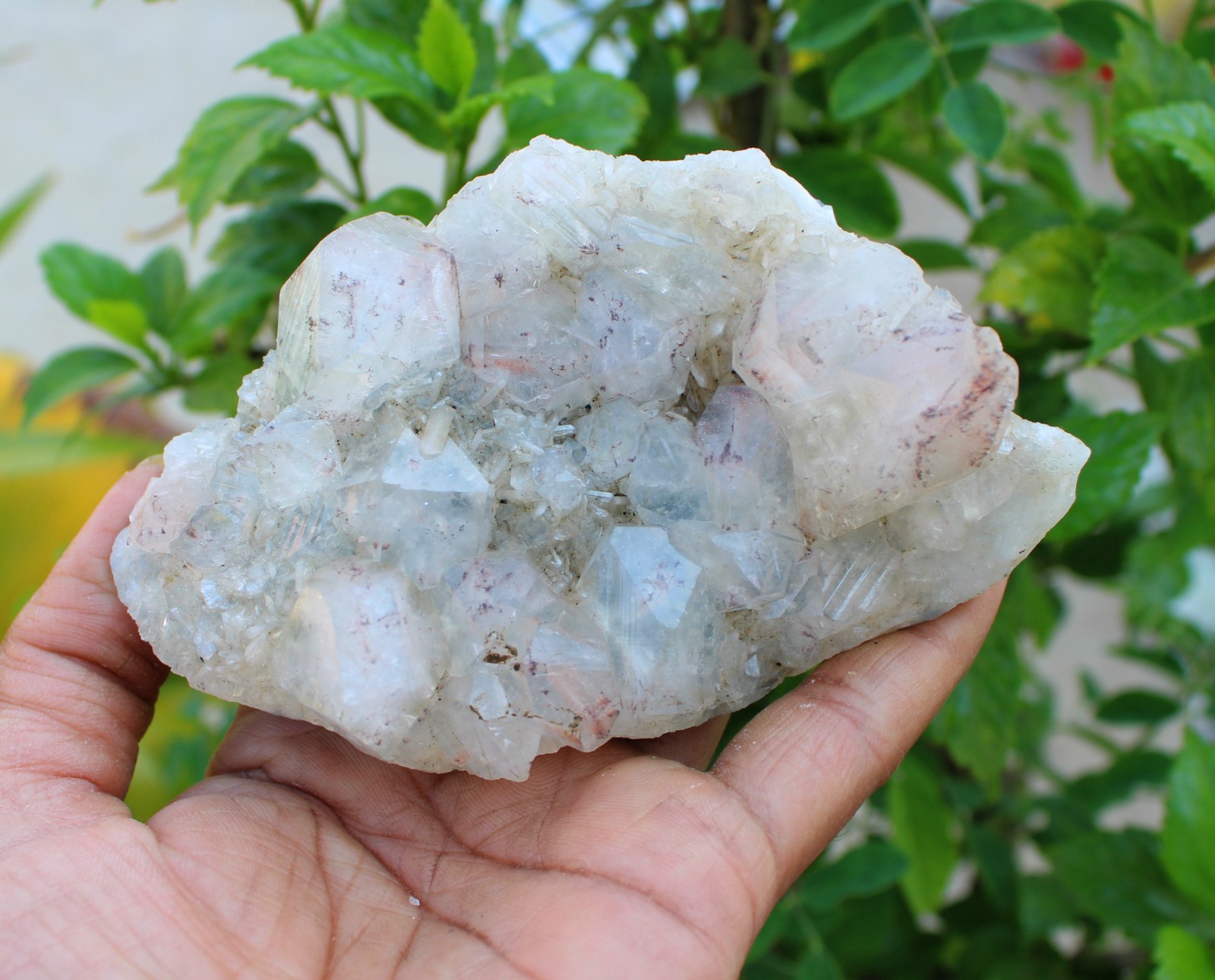 apophyllite crystals on matrix minerals specimen #A43