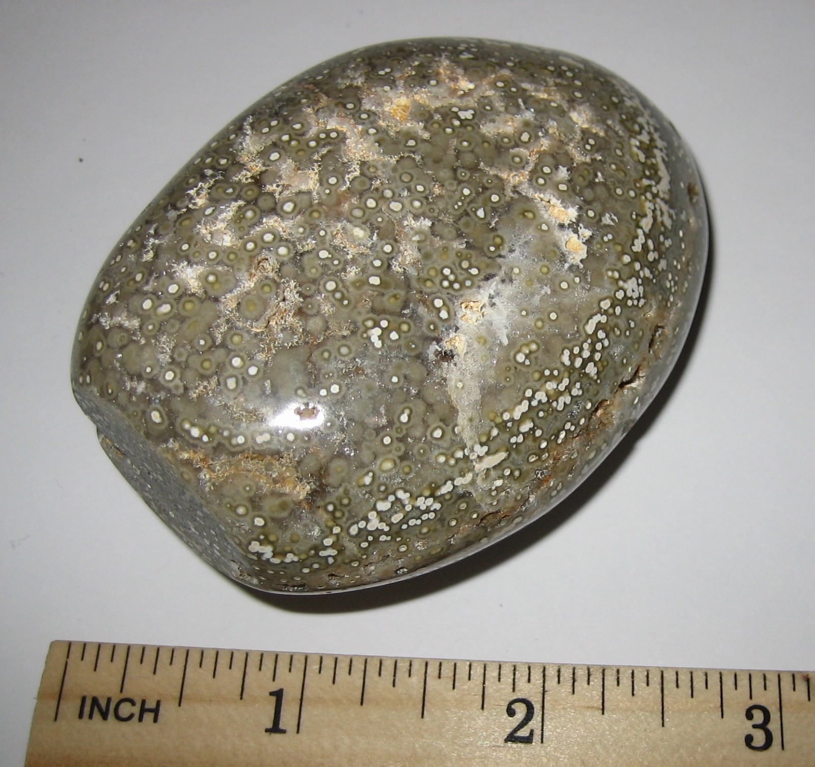 3.1″ x 2″ LARGE POLISHED NATURAL OCEAN JASPER STONE MINERAL MADAGASCAR 211.5g *A