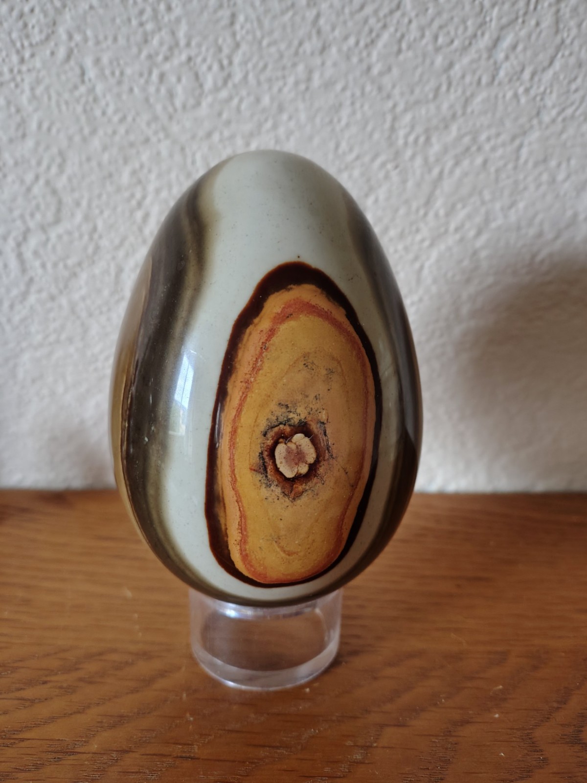 Large Polychrome Ocean Jasper Egg Sedimented Polished 11cm / 780g Madagascar