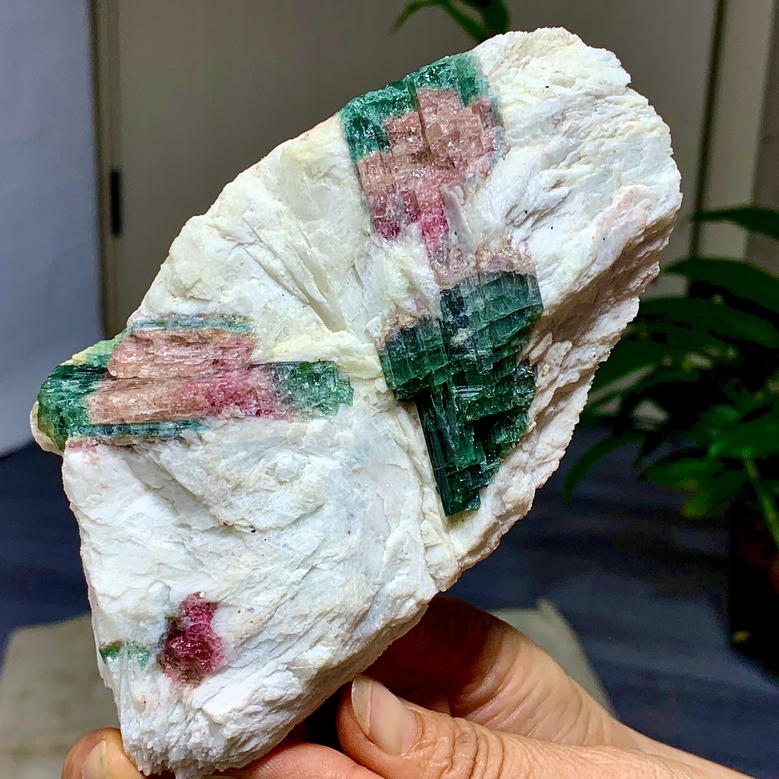 449G Natural pink-green tourmaline quartz crystal cluster mineral specimen