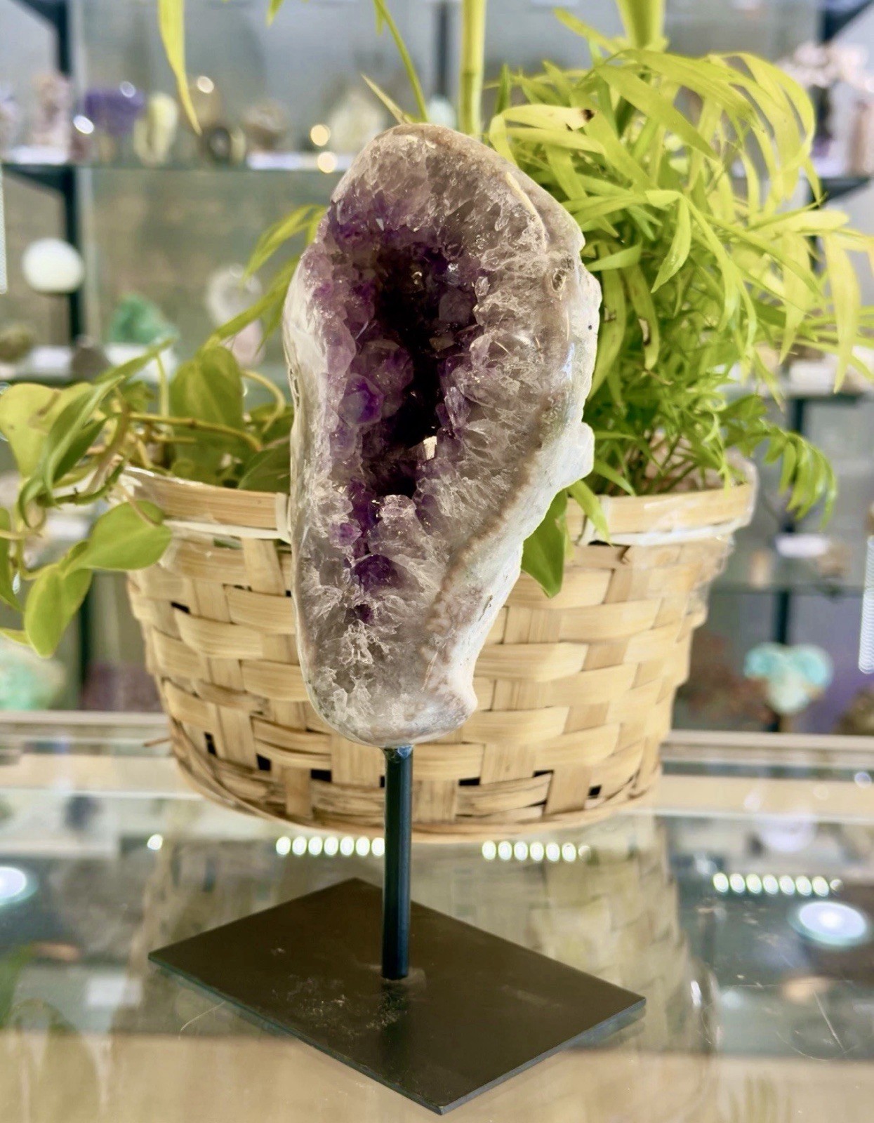 Natural Amethyst Specimens