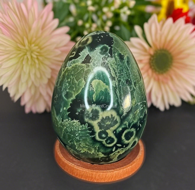Natural Kambaba Jasper Egg Palmstone Healing Energy Home Decor Housewarming Gift