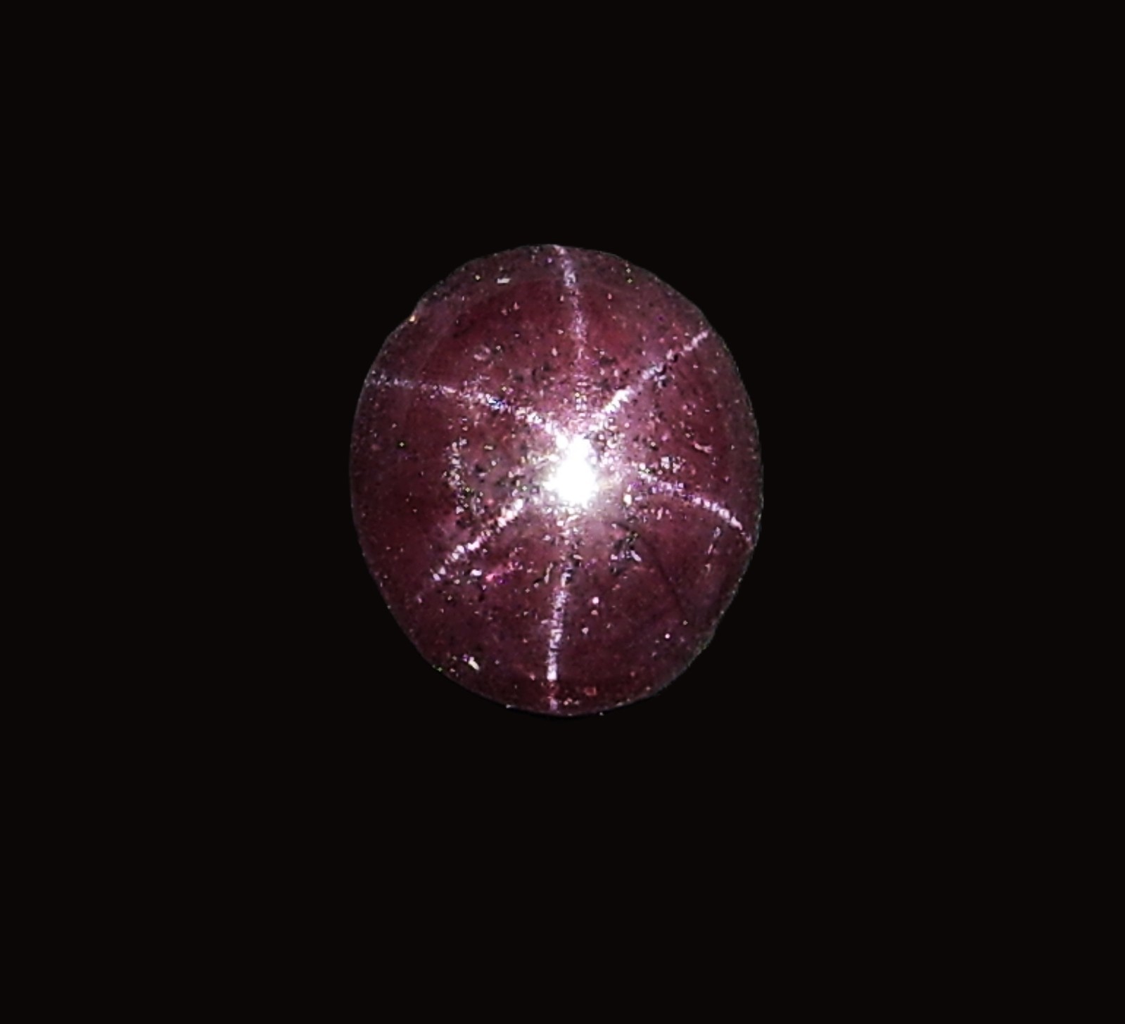 Star Garnet Polished Cabochon, 7.8cts