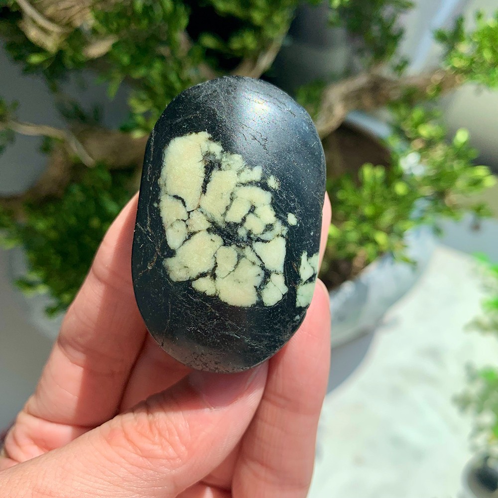 3pc 50-100G Crystal Natural Peony Stone Palm Stone Polished Good Pattern Decor