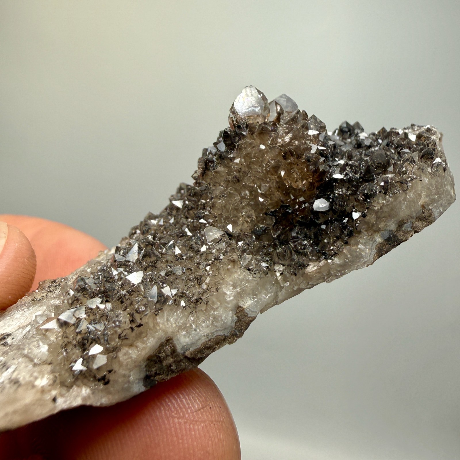 Black Druze with Hydrocarbon Phantom Percher Herkimer Diamonds, Rare Matrix!