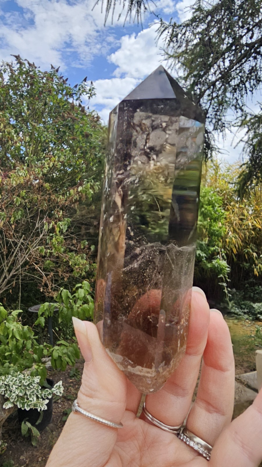 A Grade Smokey Quartz Freeform On Wood Root Base Point 261g 15.5cm smoky