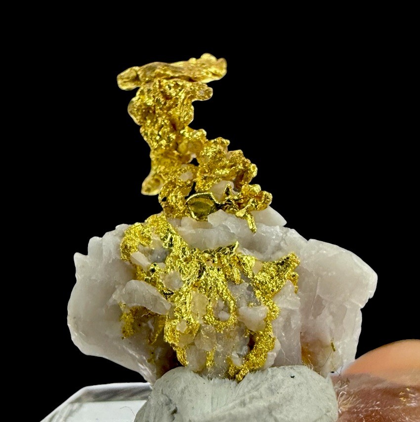 Gold On Quartz Crystals : Eagle’s Nest Mine . Placer County , California 🇺🇸