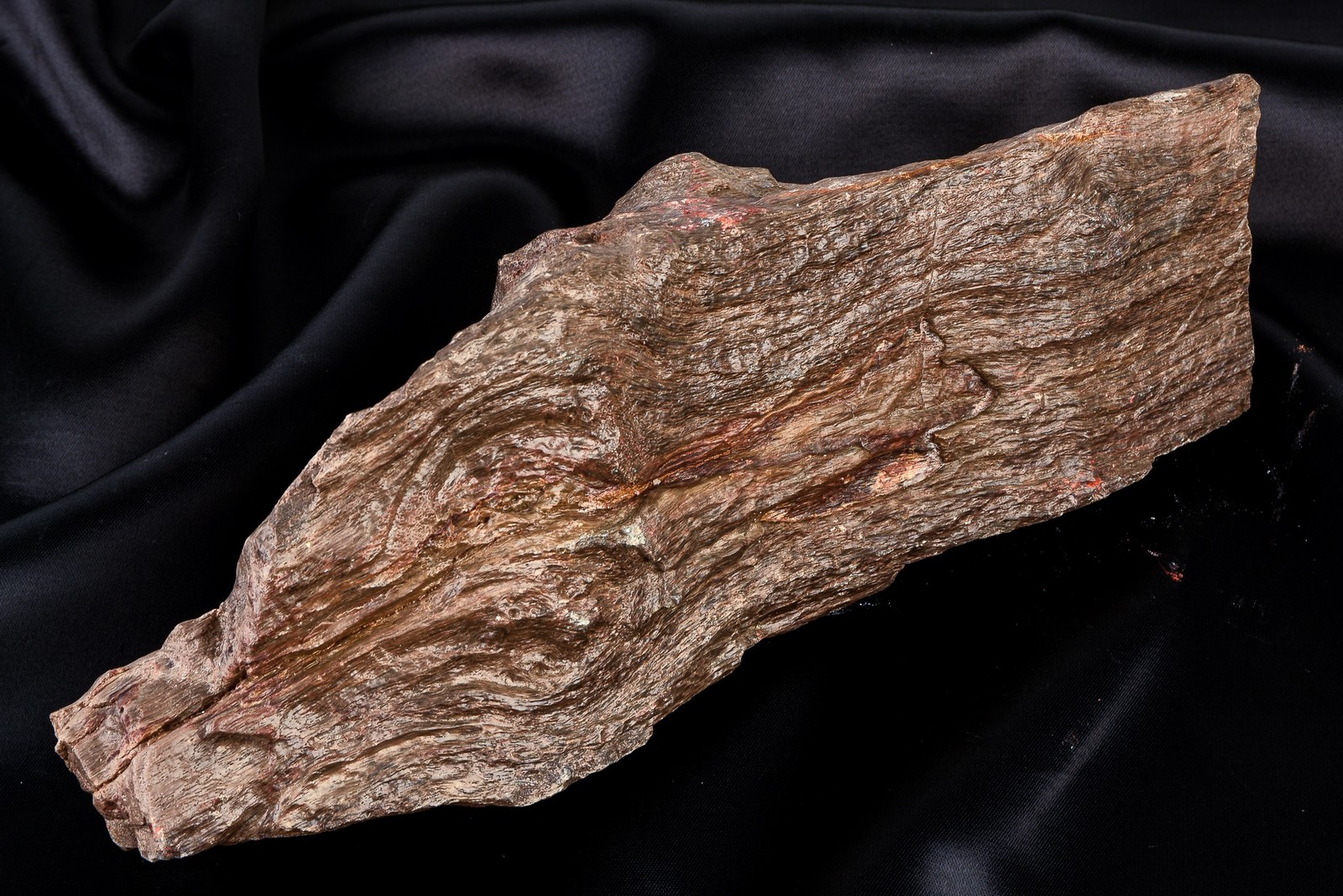 Petrified Wood Fossil Specimen 4.2 Pounds – 11 x 4 x 3 Inch V23
