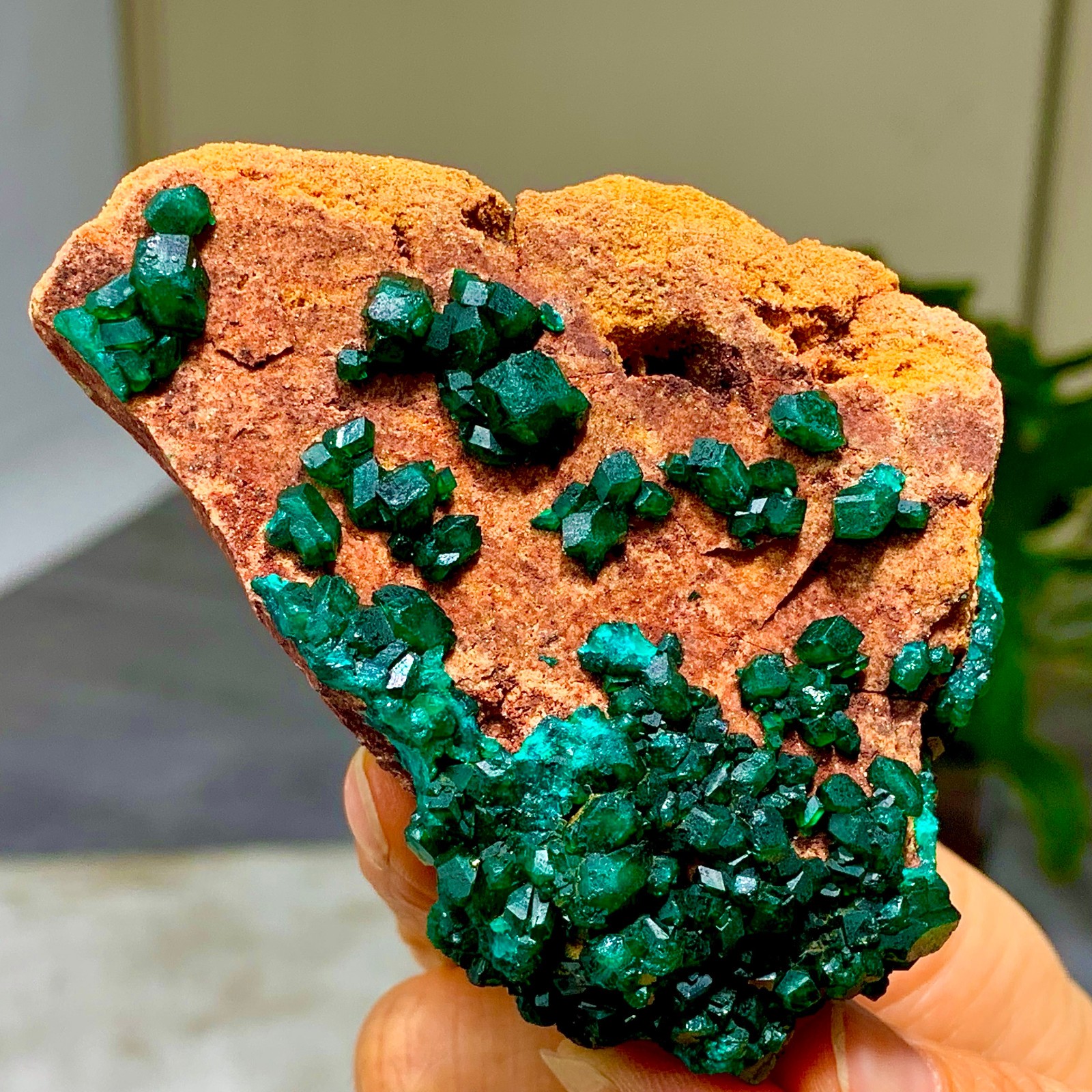 205G Natural Deep Green Grainy dioptase gemstone cluster mineral specimen