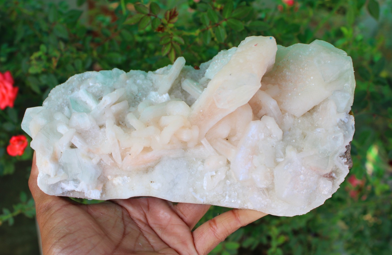 APOPHYLLITE, STILBITE Format On CHALCEDONY CORAL Matrix Minerals specimen #A1