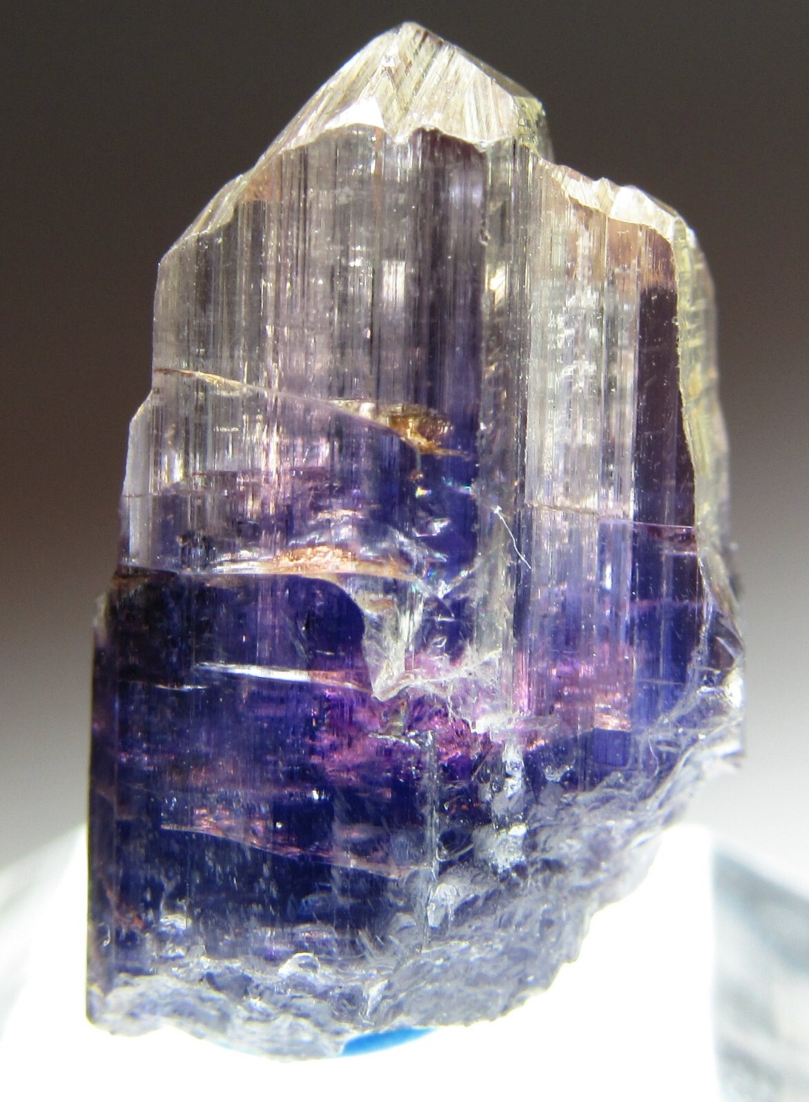 UNBELIEVABLE EXQUISITE FANCY COLOR GLASSY GEM TANZANITE CRYSTAL!!! TANZANIA