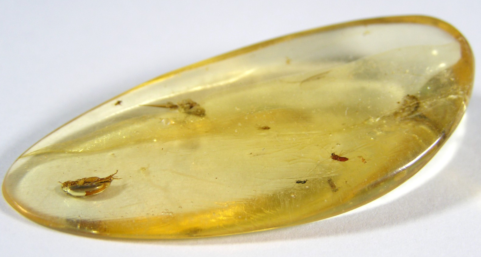 NATURAL COPAL PIECE – 5.5 x 2.4 x 0.7 cms 5.59 gms #22 – young Amber – insect