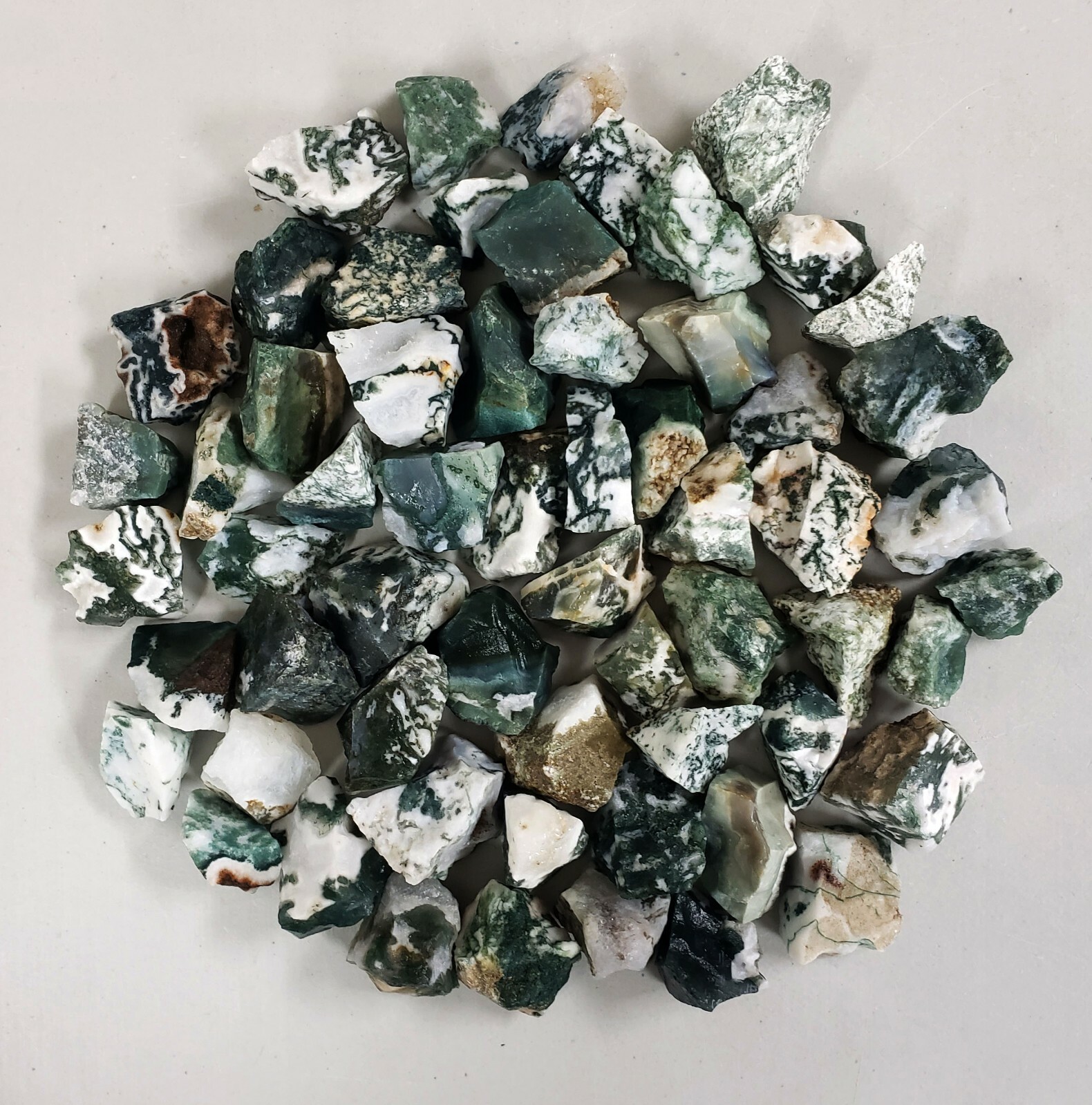 Tree Agate Crystal – 1″ to 2″ from India – Raw Crystals Bulk – Healing Crystals