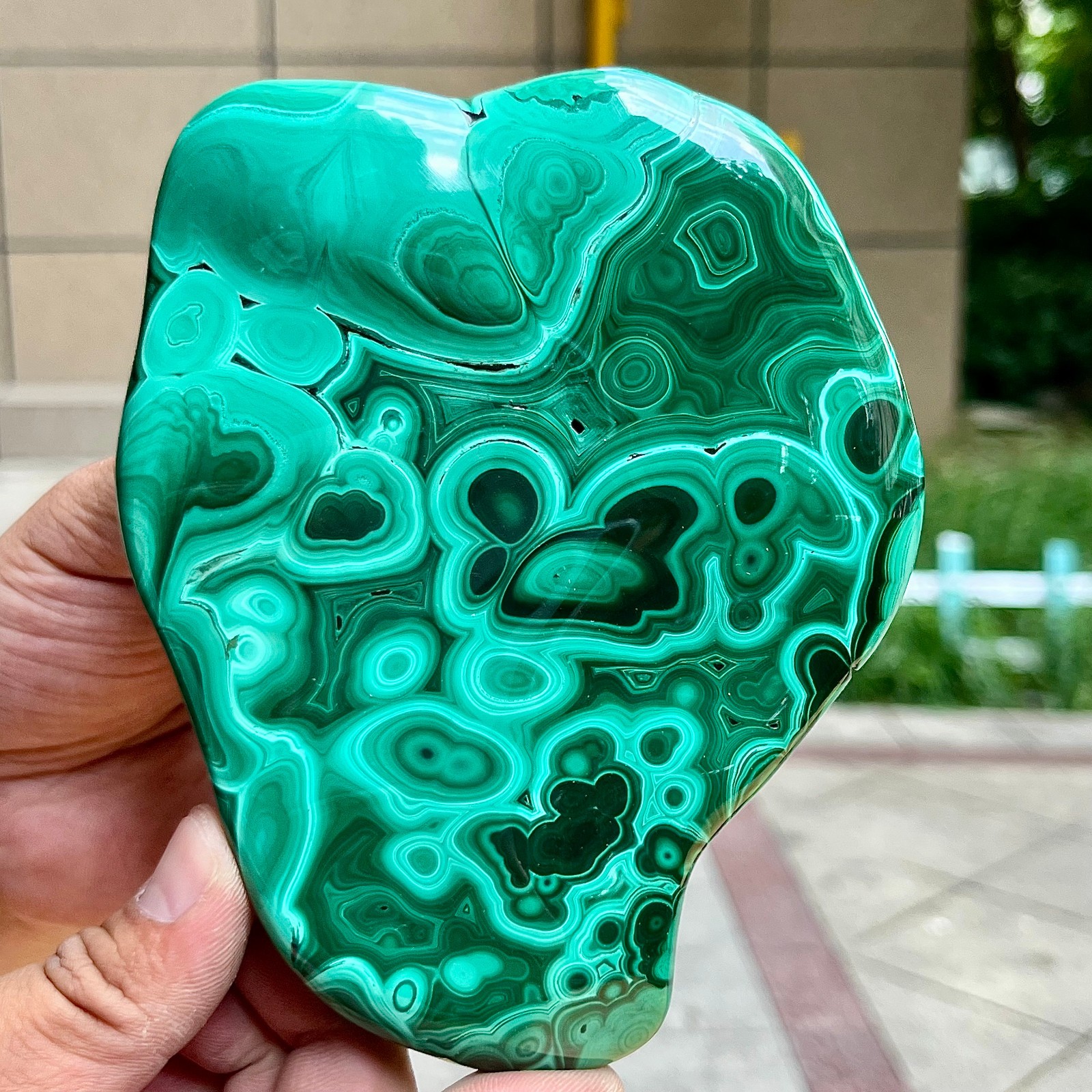 2.2 lb Malachite Quartz Freeform One Side Polished Natural Crystal Specimen