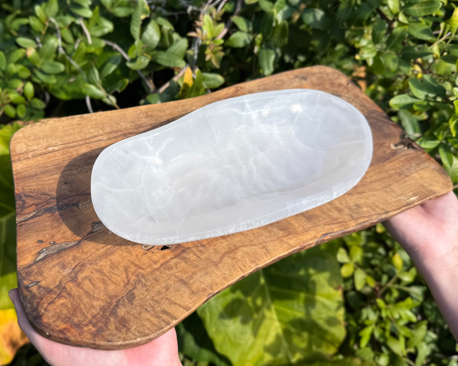 HUGE 10″ Selenite Free Form Charging Bowls (Selenite Crystal Bowl,Selenite Bowl)