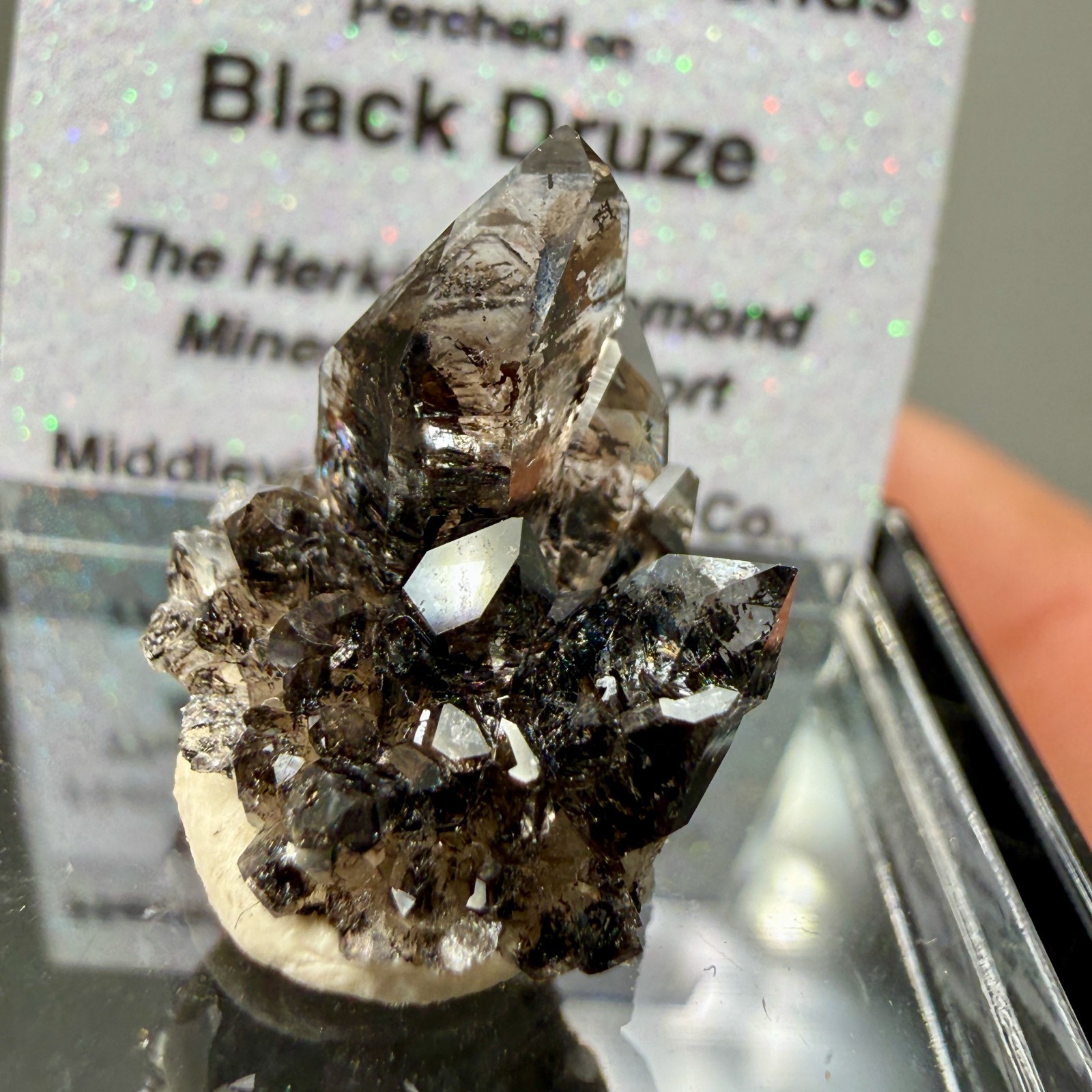 Herkimer Diamond Perched on Rare Black Druze, Gem Points w/ Phantoms