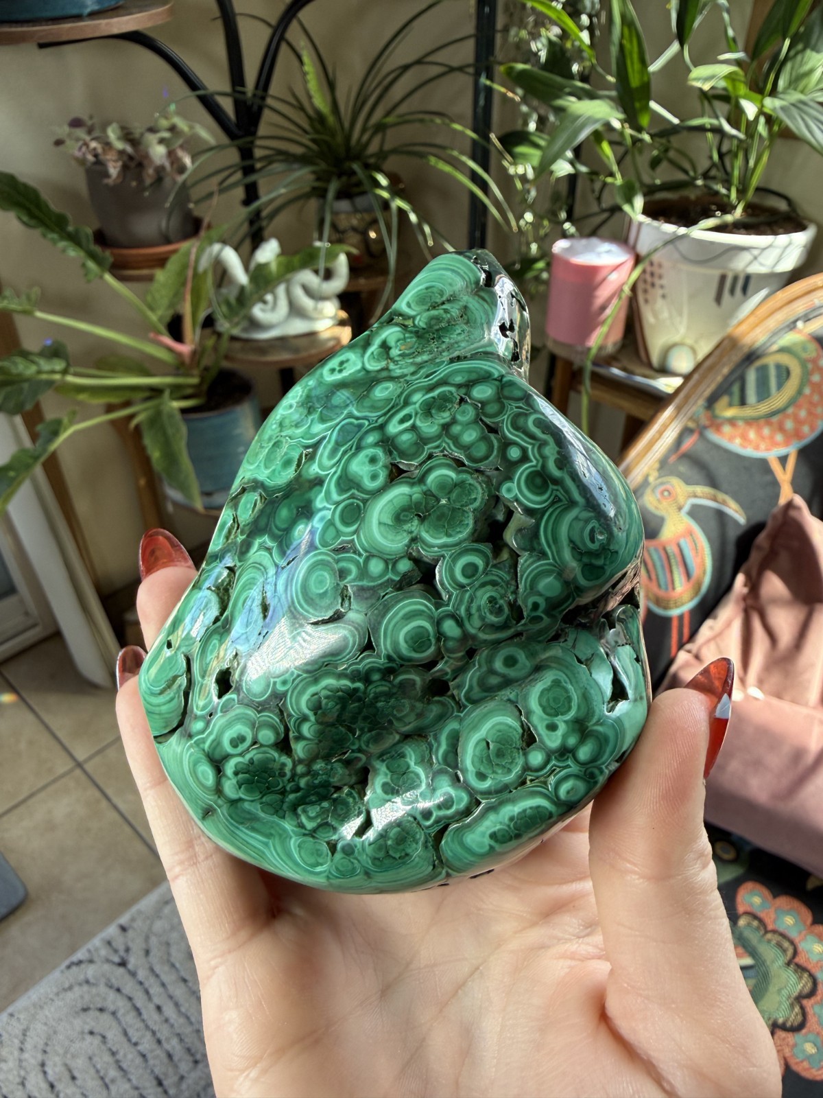 Polished Malachite Freeform – Congo – 1.42 lbs