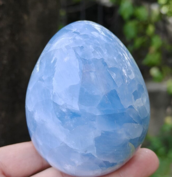 Natural Celestite Egg Palm Stone Angelic Healing Crystal Sphere Mineral Specimen