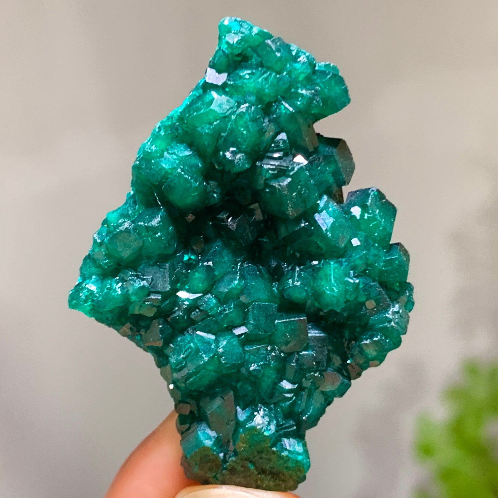 15G Natural green dioptase emerandine gemstone cluster mineral specimen