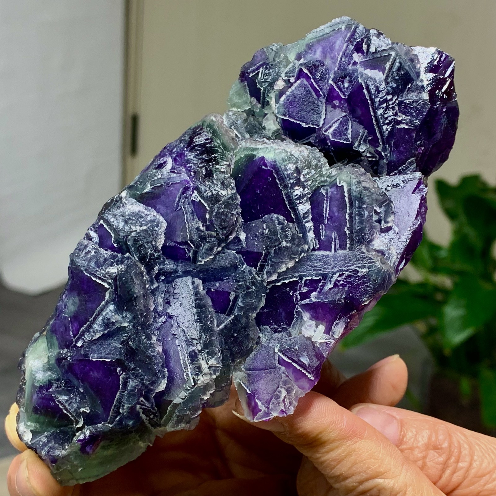 643G Rare transparent purple octahedron fluorite mineral crystal sample/China
