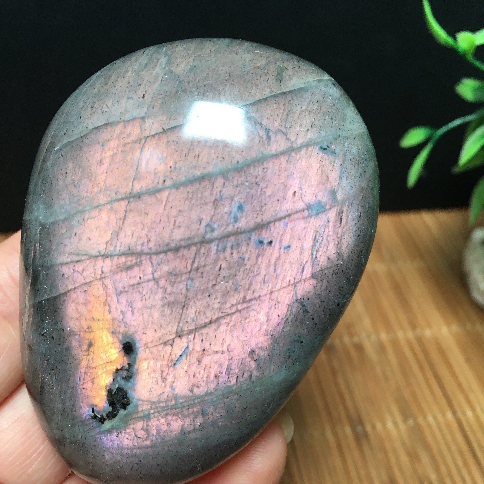 146g Natural Polished Labradorite plamstone Crystal Specimen fb1767