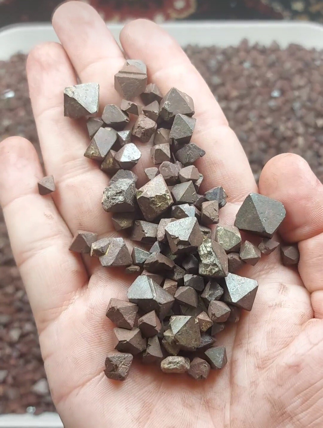 rocks fossils minerals crystals gemstones rough