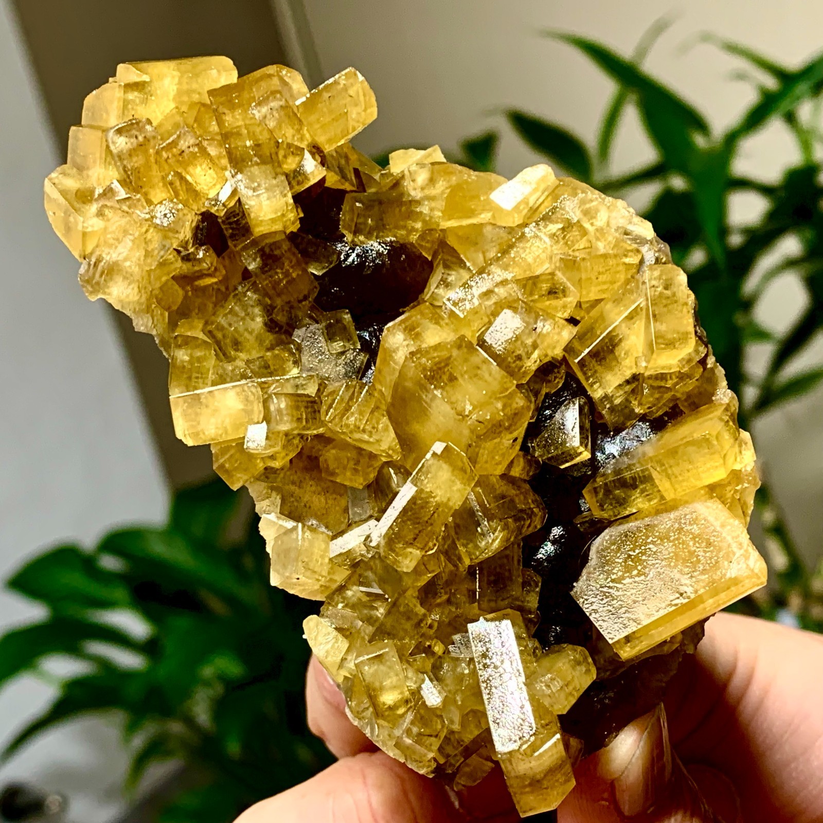 300G Shiny Golden Cuboid Barite Crystal Based on the Purple Spherical Fluorite
