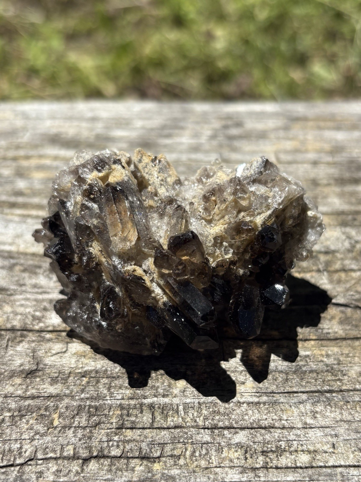 Smoky Quartz Crystal Cluster- Natural 2.1 Dark Brown Smoky Quartz Points Cluster