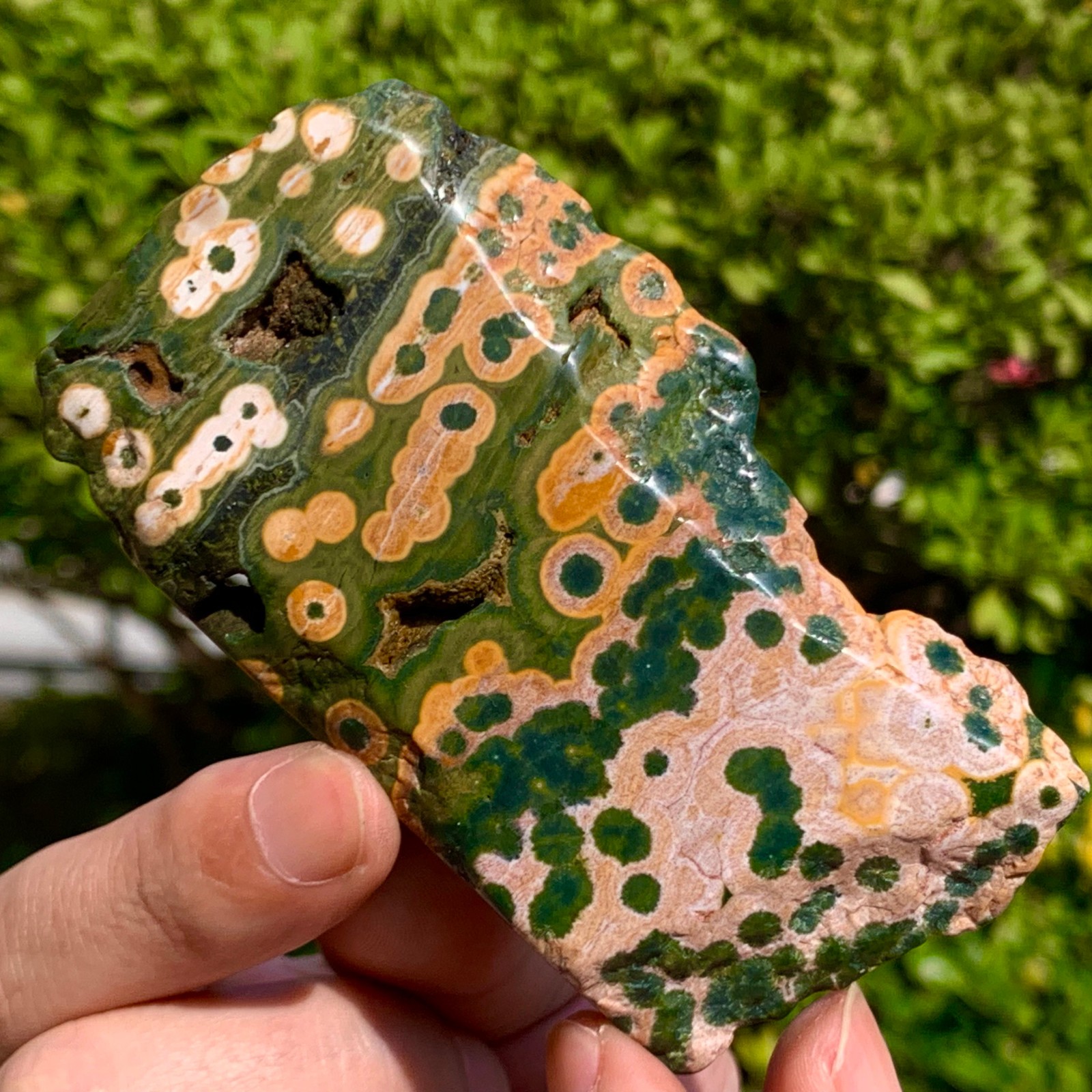 82G Natural Ocean Jasper Crystal SliceLarge Specimen Healing- Museum