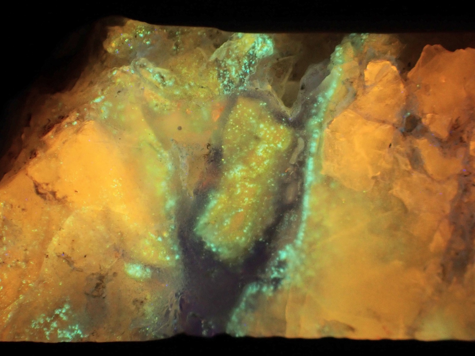Beautifully fluorescent Hokkaidoite and opals containing organic minerals B262