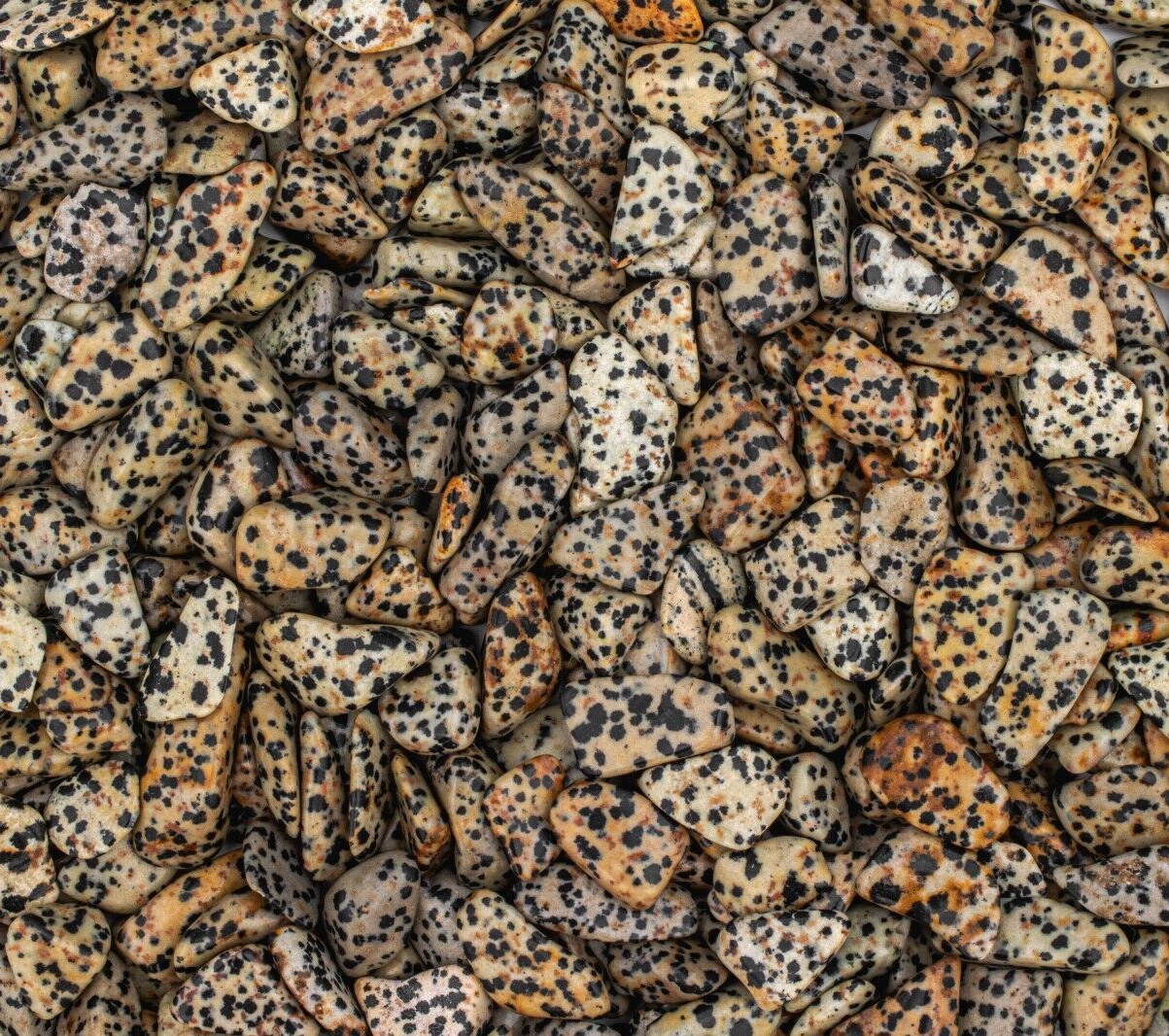 50g Tumbled Dalmatian Jasper Gemstone Crystals 15-30 Stones Bulk Gems Wholesale