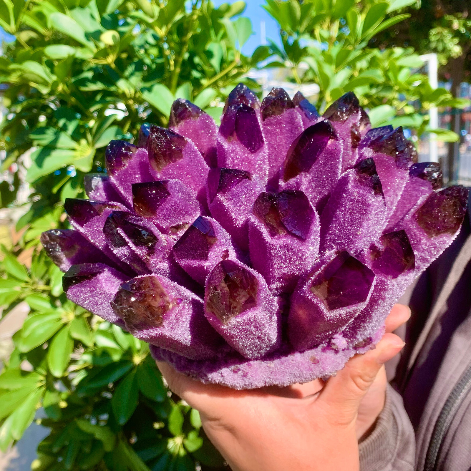 9.2LB Raw Dark Purple Phantom Amethyst Cluster Crystal Geode Specimens Ornament