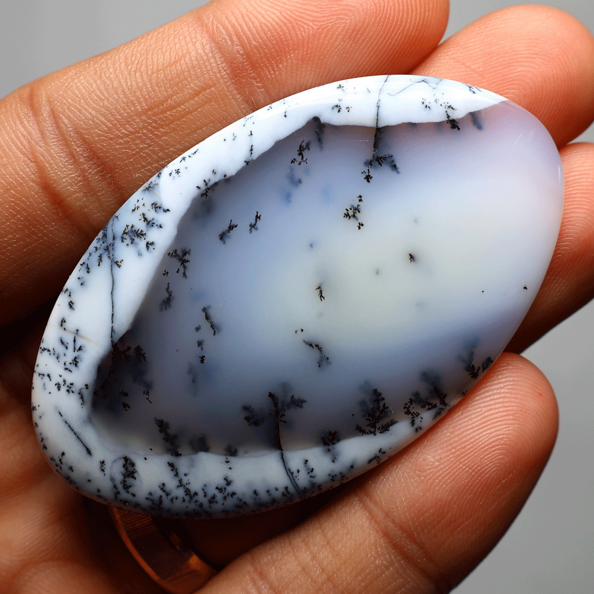20g Australian Natural Dendrite Opal Collectible High Quality Crystal Palmstone