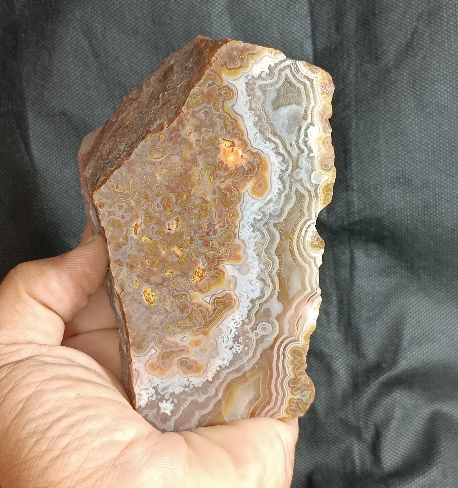 1490g/3.29 lb turkish banded plume agate stone rough, customs duty included