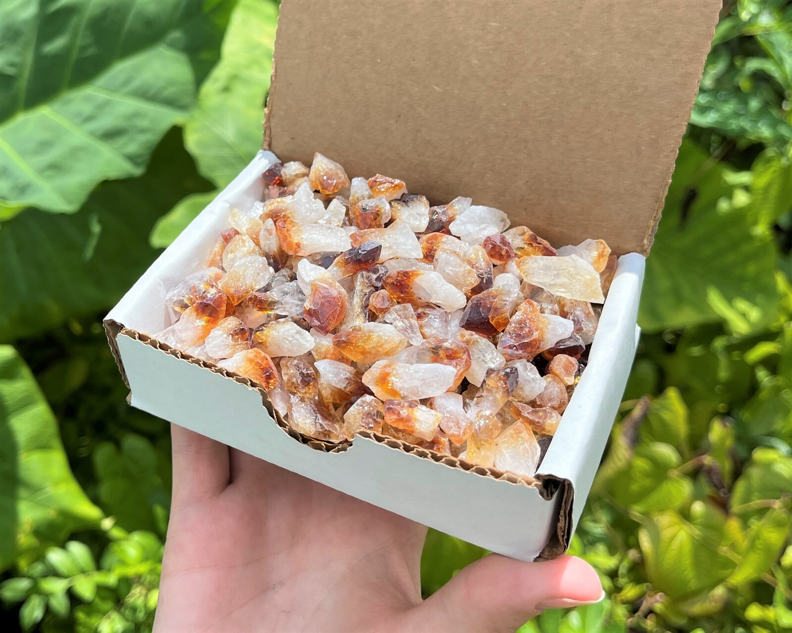1/2 lb Bulk Citrine Points Crystal Collection in Box (‘A’ Grade Premium Citrine)