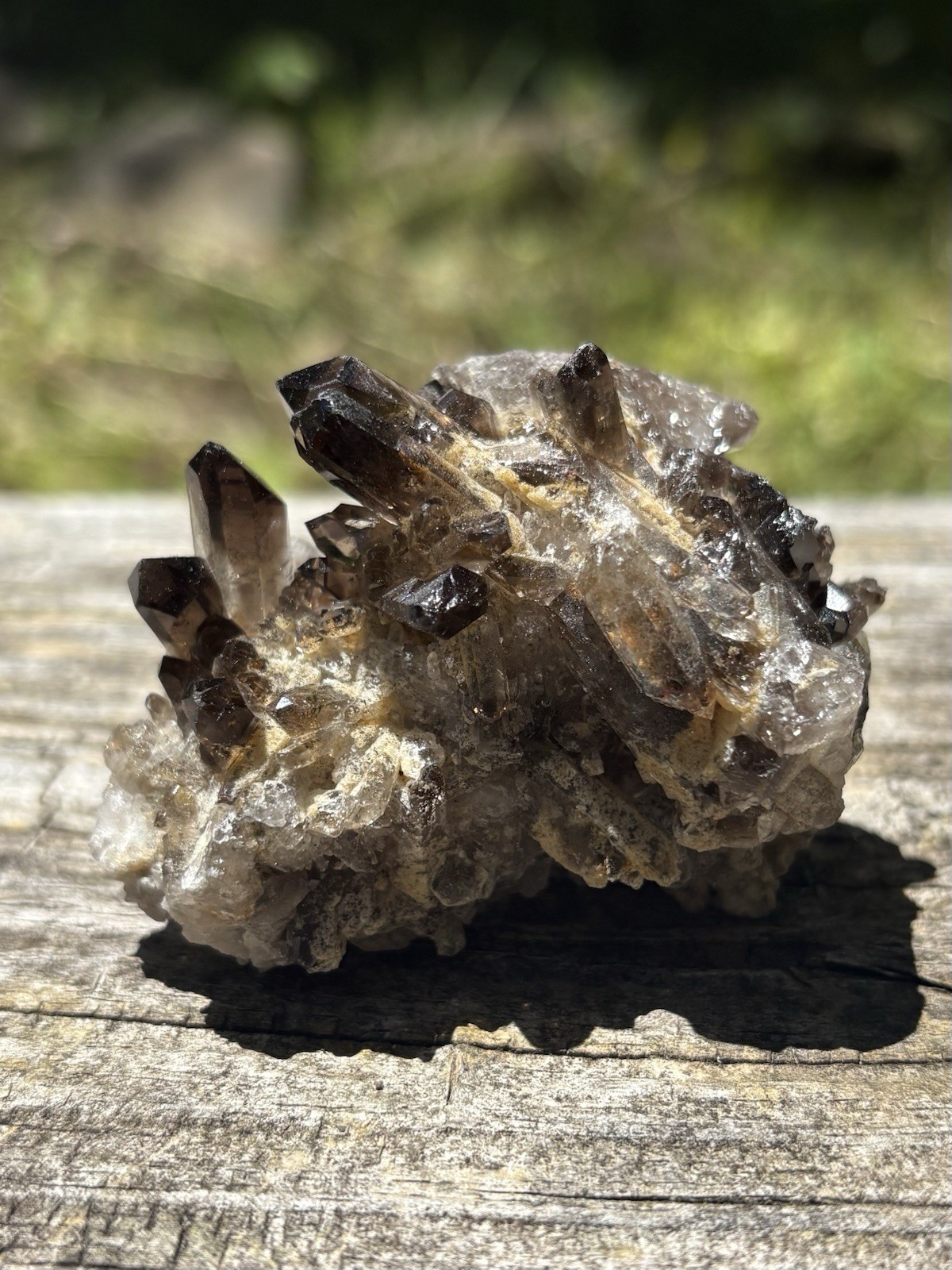 Smoky Quartz Crystal Cluster- Natural 2.1 Dark Brown Smoky Quartz Points Cluster