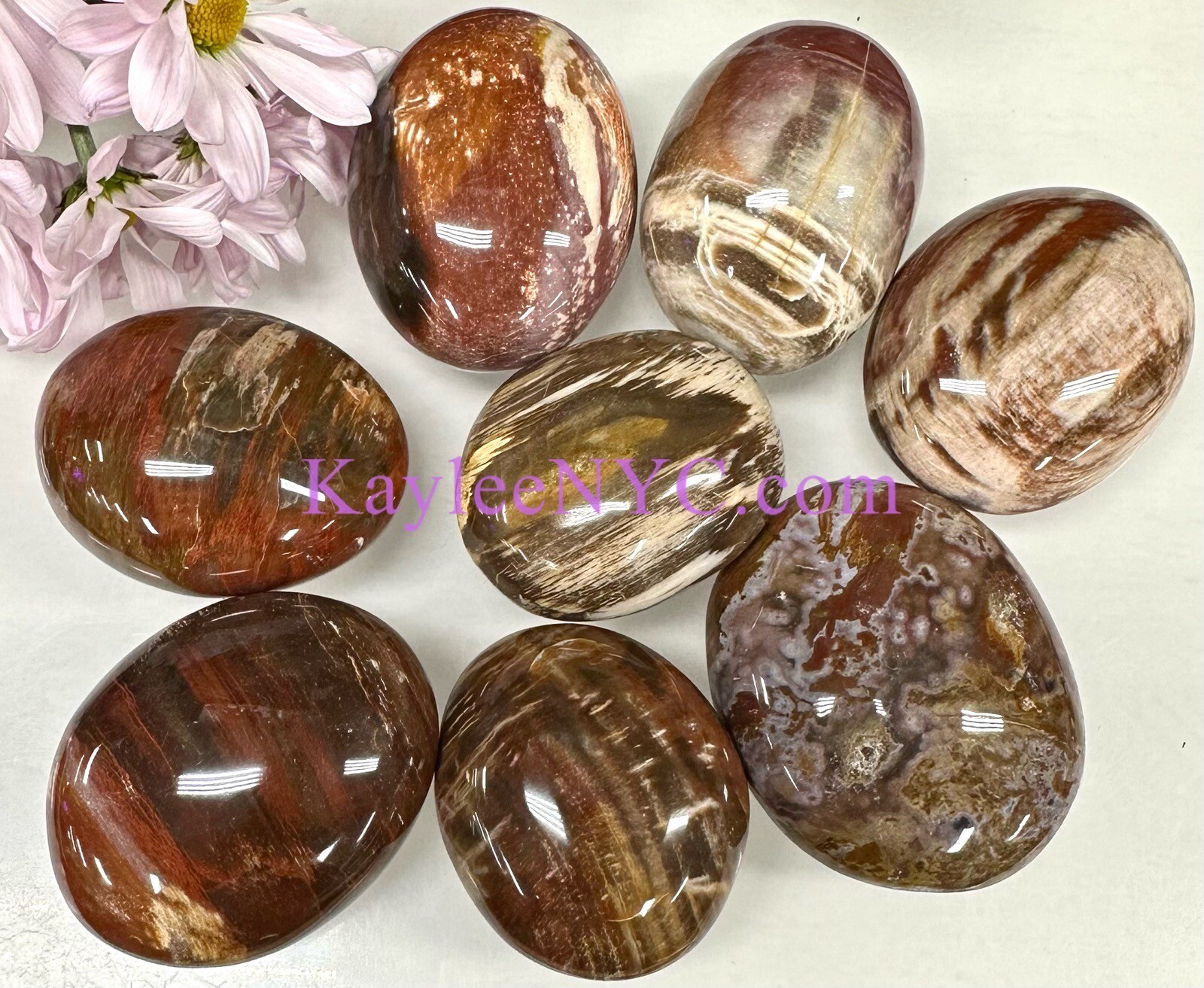 Wholesale Lot 2 Lbs Natural Petrified Wood Palm Stone Crystal Healing