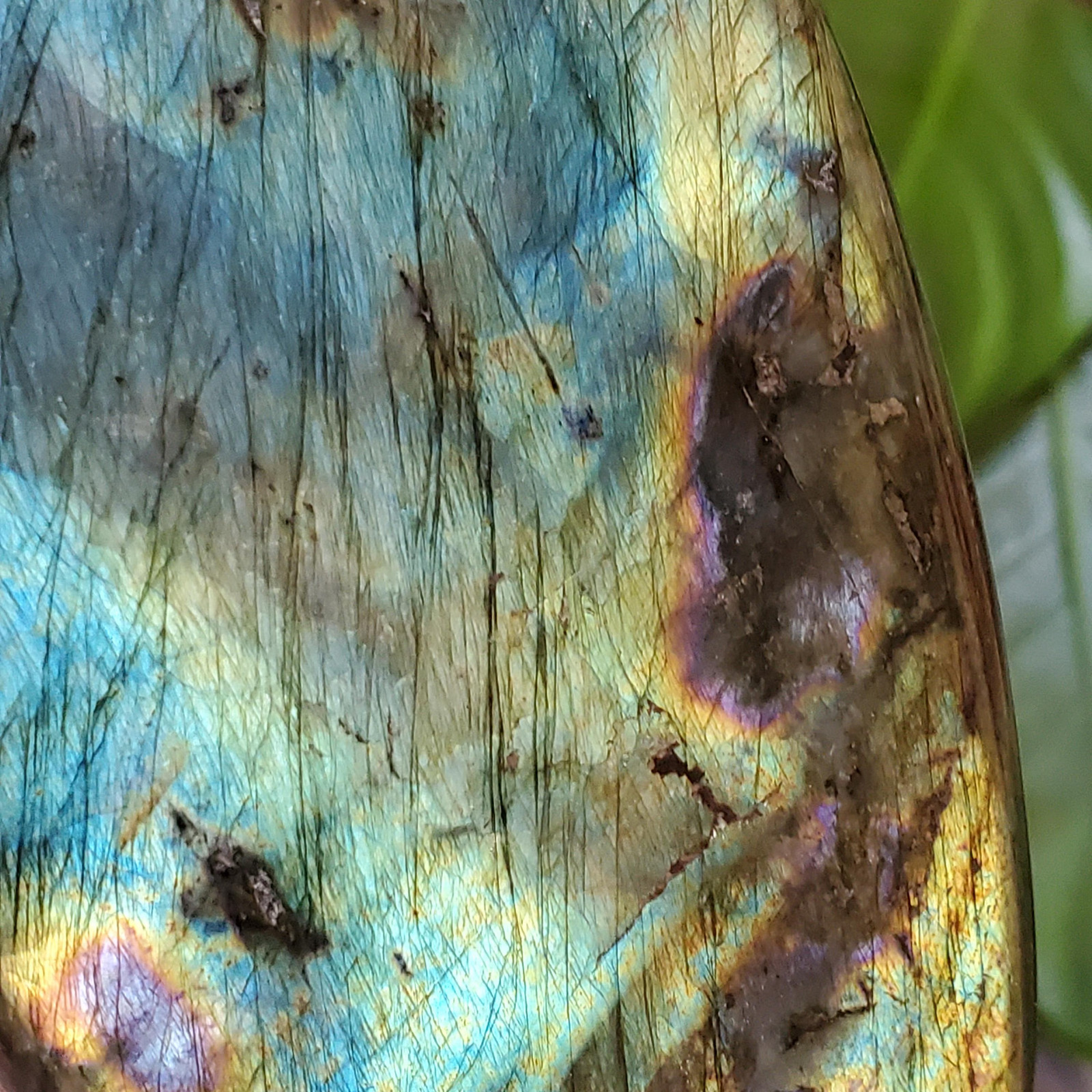 Labradorite Spectrolite Blue & Yellow Flash Crystal Slab Freeform 952 grams
