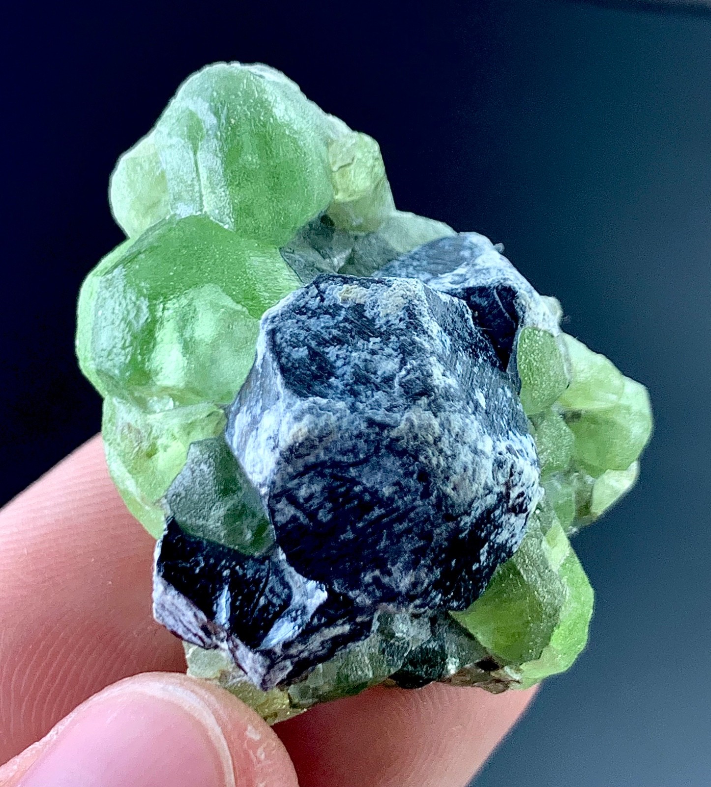 Peridot Crystal Specimen From Pakistan 146 Carat
