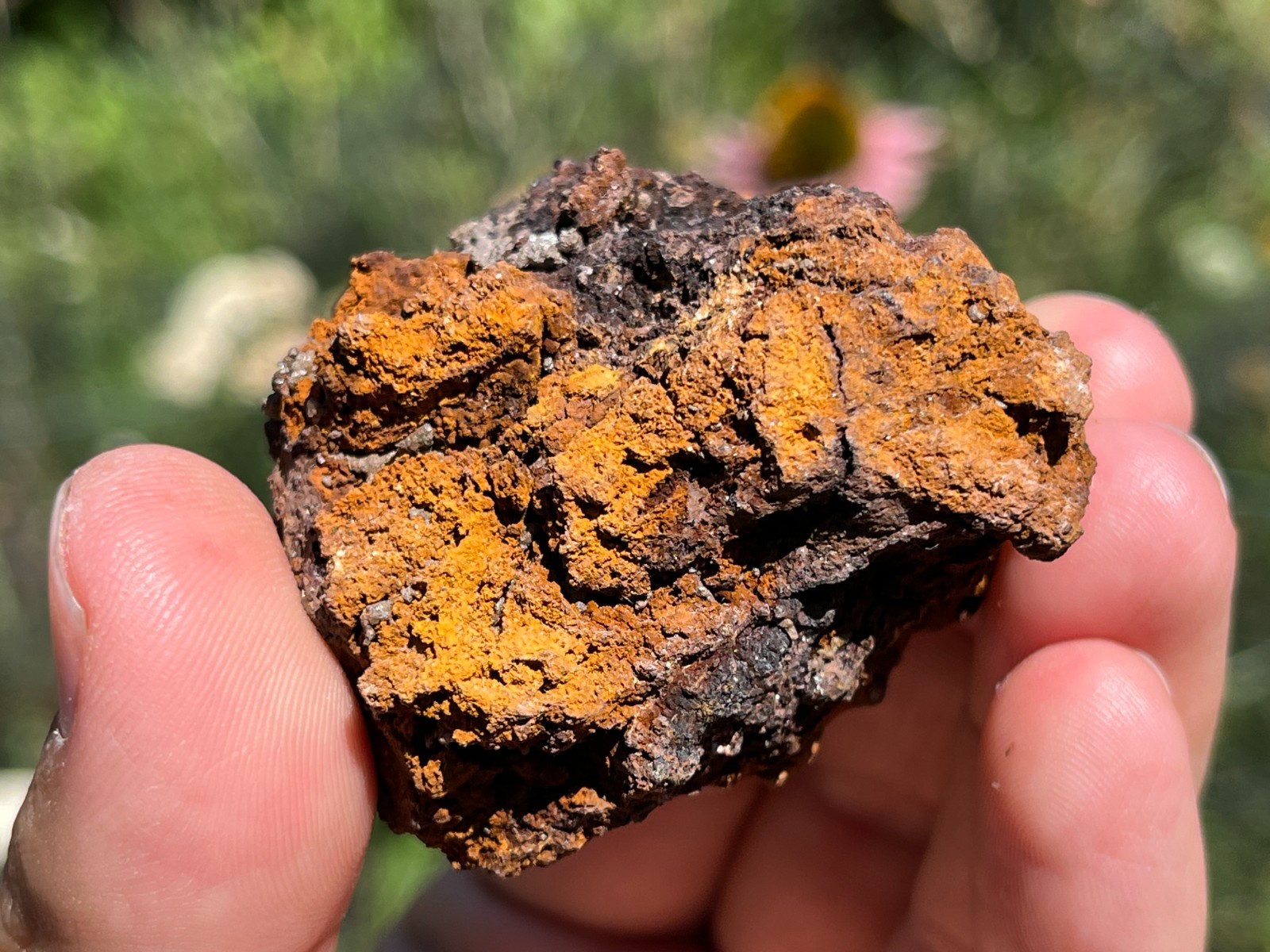 Chlorargyrite on Limonite- Broken Hill, Yancowinna Co., NSW, Australia
