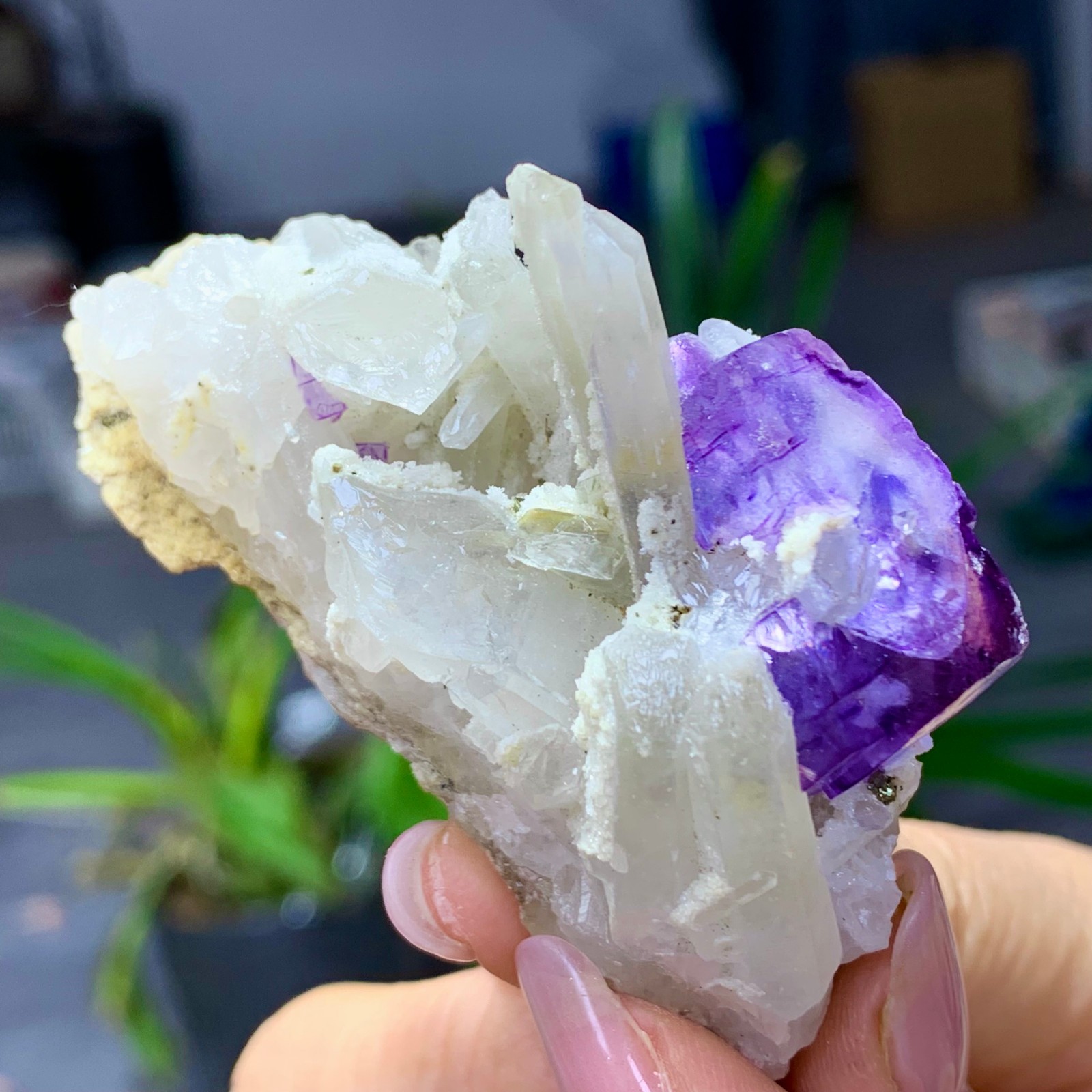 50G Natural transparent purple fluorite coexists with white crystal/Yaogangxian