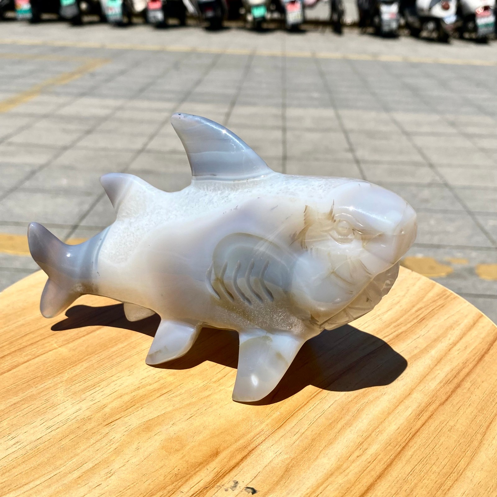 1.65LB Natural Agate Hand Carved Shark Figurine, Ocean Power Crystal Statue