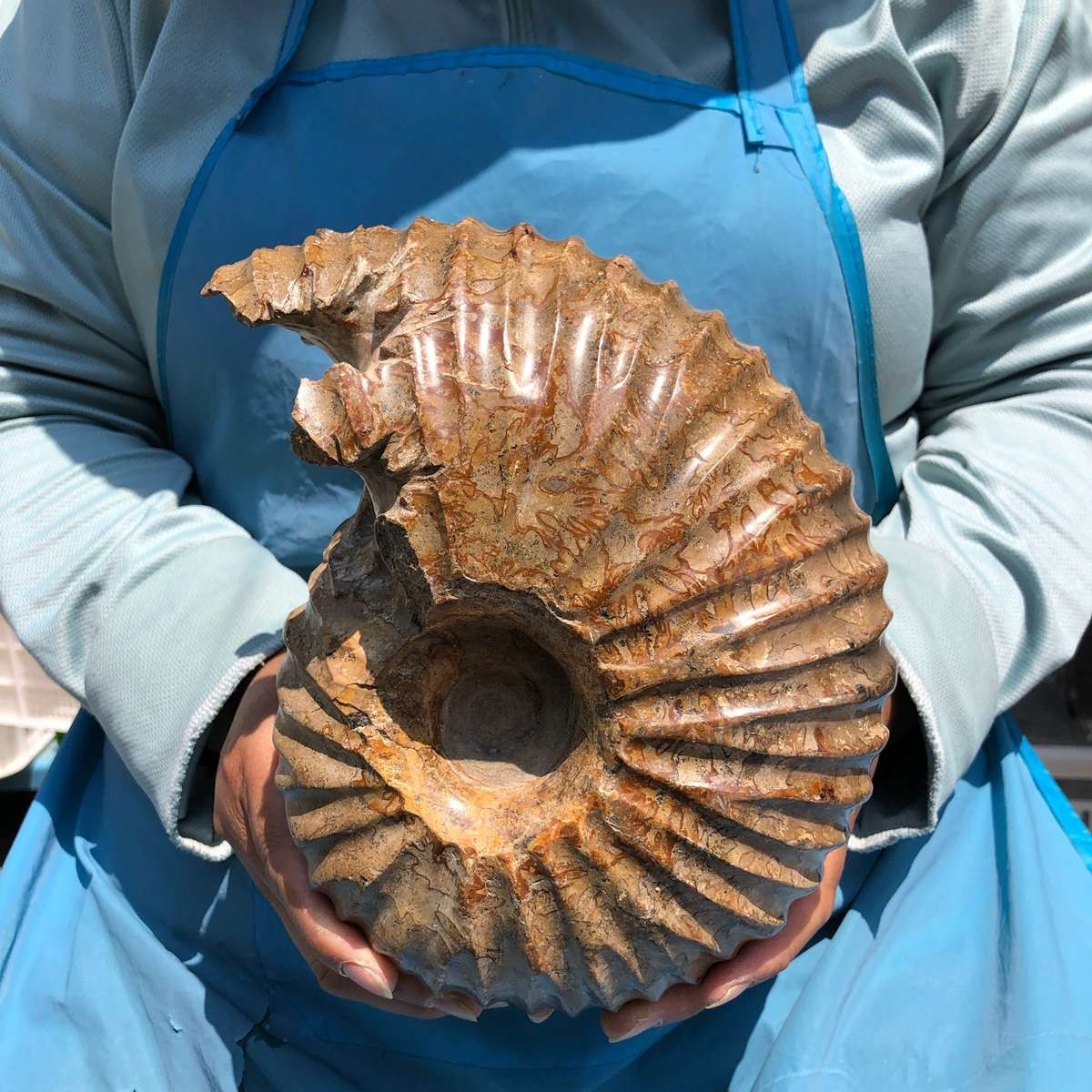 8.91LB Rare! Natural Tentacle Ammonite Specimen Healing Madagascar
