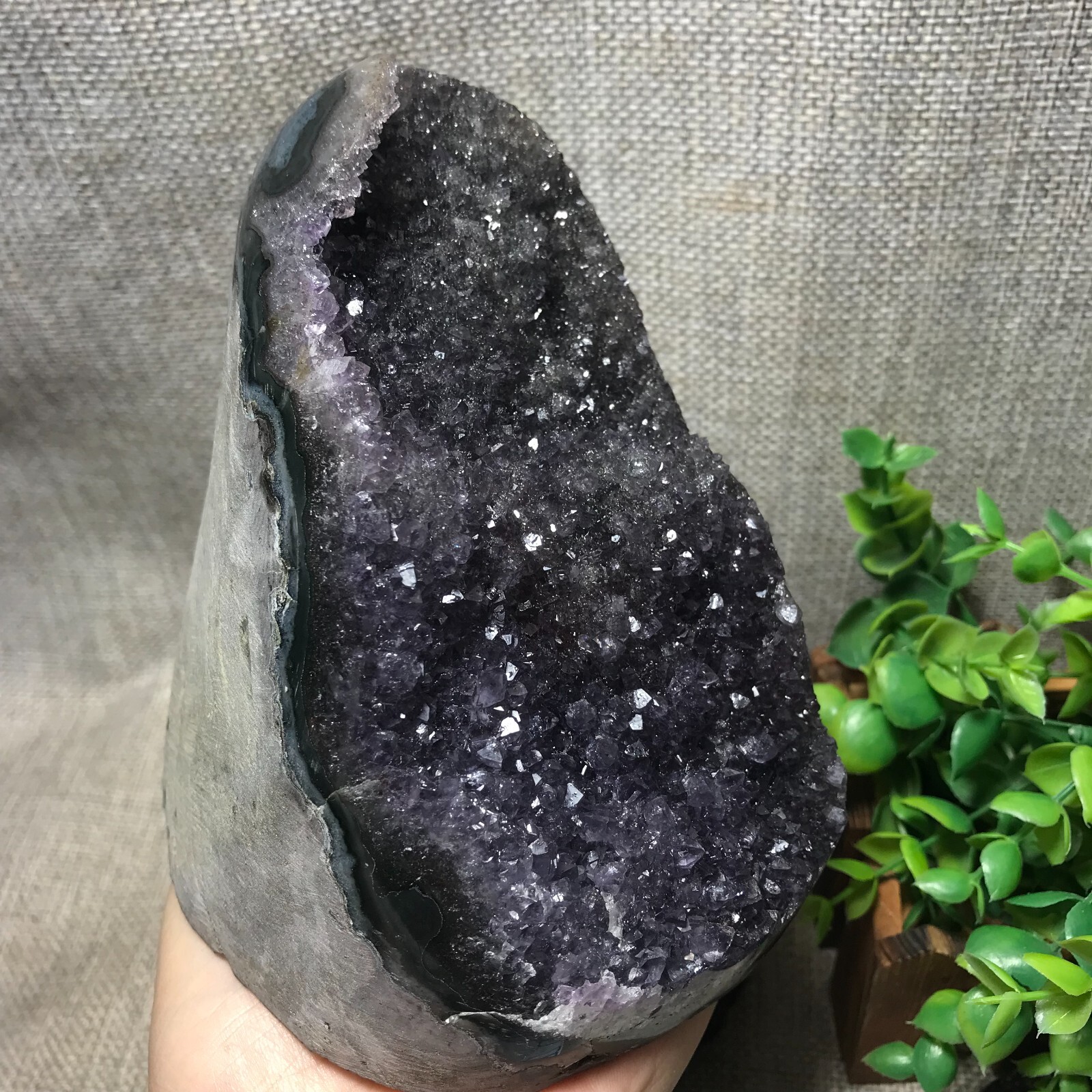 1400g Natural Amethyst Cluster Geodes Cut Base Quartz Crystal Healing 35