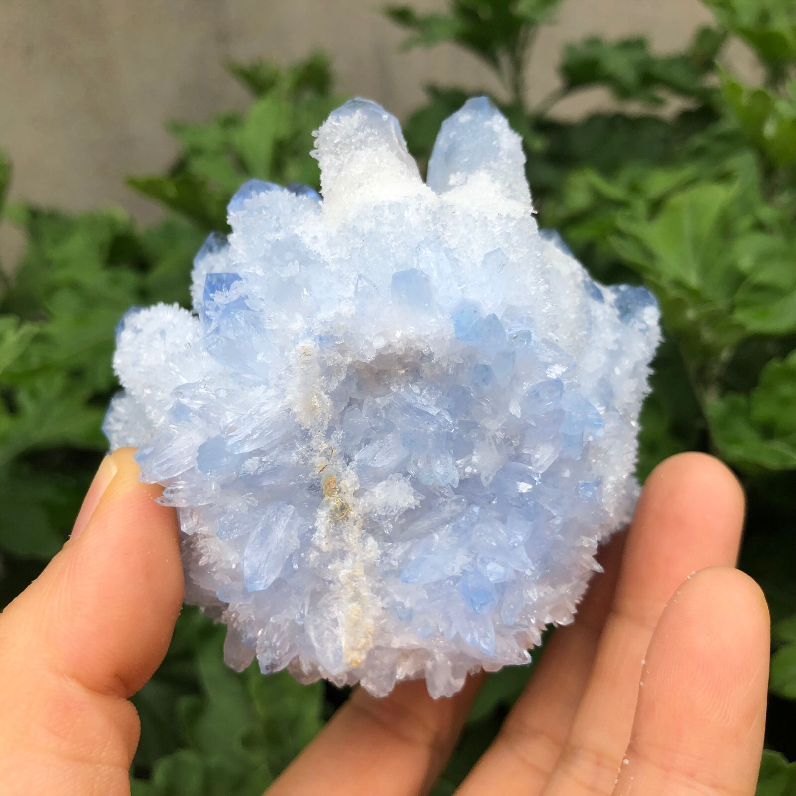 300g+ New Find Blue Phantom Quartz Crystal Cluster Mineral Specimen Healing Gift