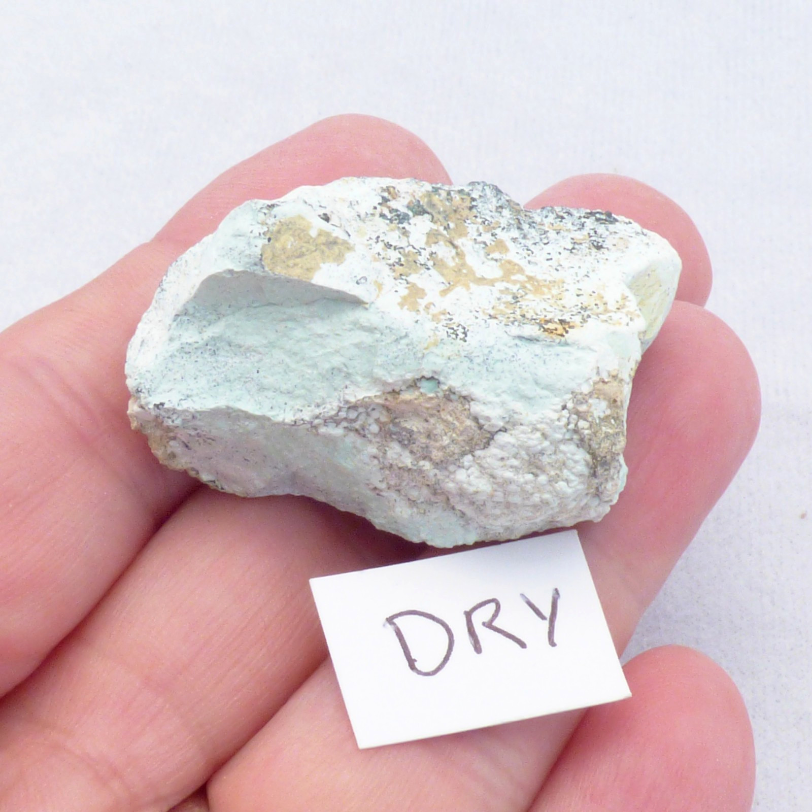 Solid Turquoise Mineral Specimen Island Park Idaho Natural Unpolished 4cm 19g